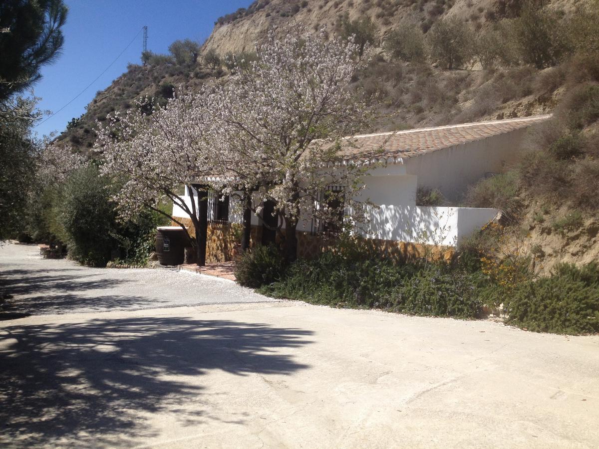 Ferienwohnung Cortijo Pilongo Monachil Exterior foto